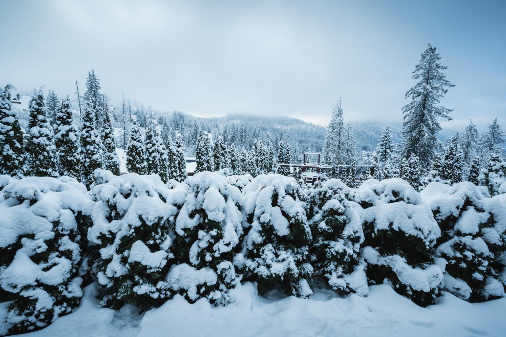 Visitzakopane - Janosik Apartment Eksteriør bilde