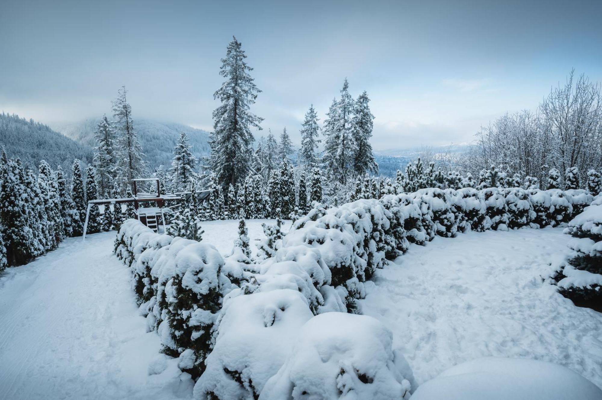 Visitzakopane - Janosik Apartment Eksteriør bilde