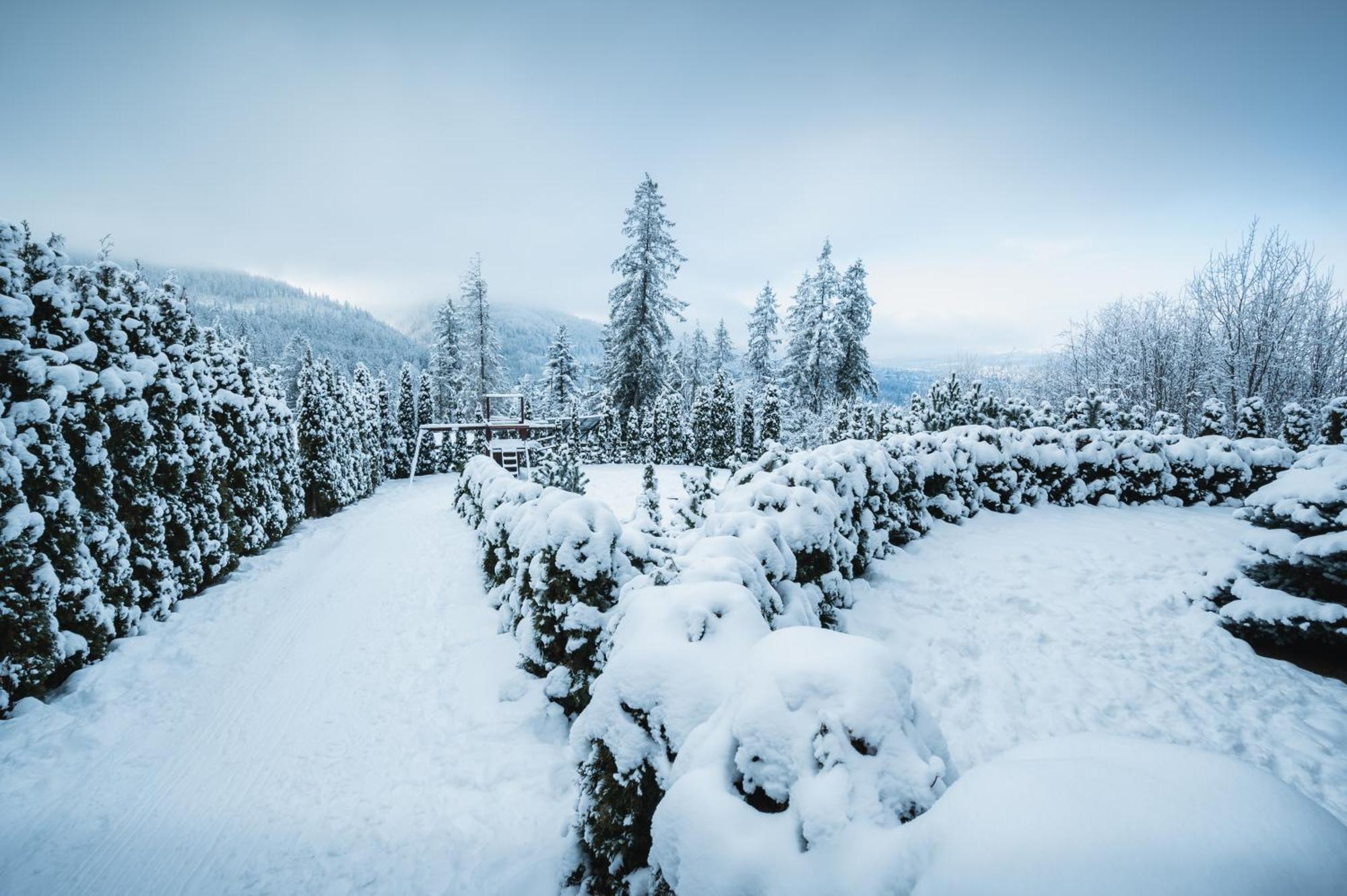 Visitzakopane - Janosik Apartment Eksteriør bilde
